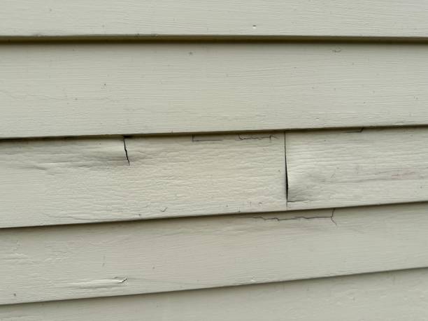 Best Siding Removal and Disposal  in Stafford Courthouse, VA